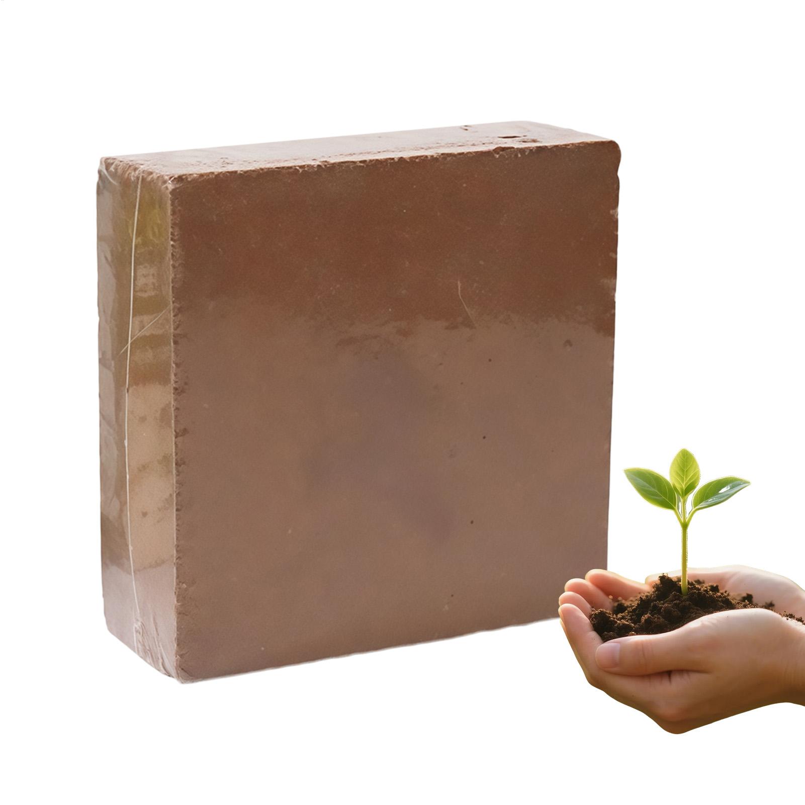 Coco Coir Block - Tanah Organik 300g Tanah Bonsai Bata