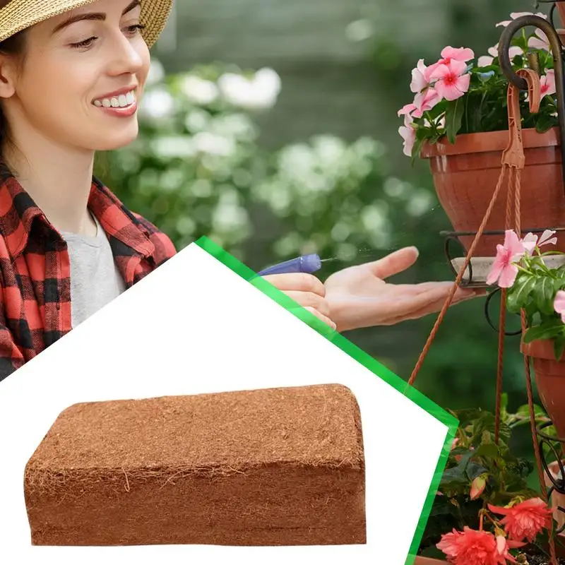 Bata Sabut Kelapa Organik Terk - Coco Coir Block ulasan dan harga