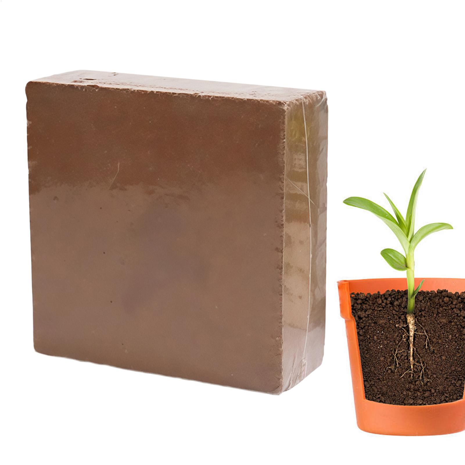 Tanah Bonsai Bata 300g Tanah O - Coco Coir Block ulasan dan harga