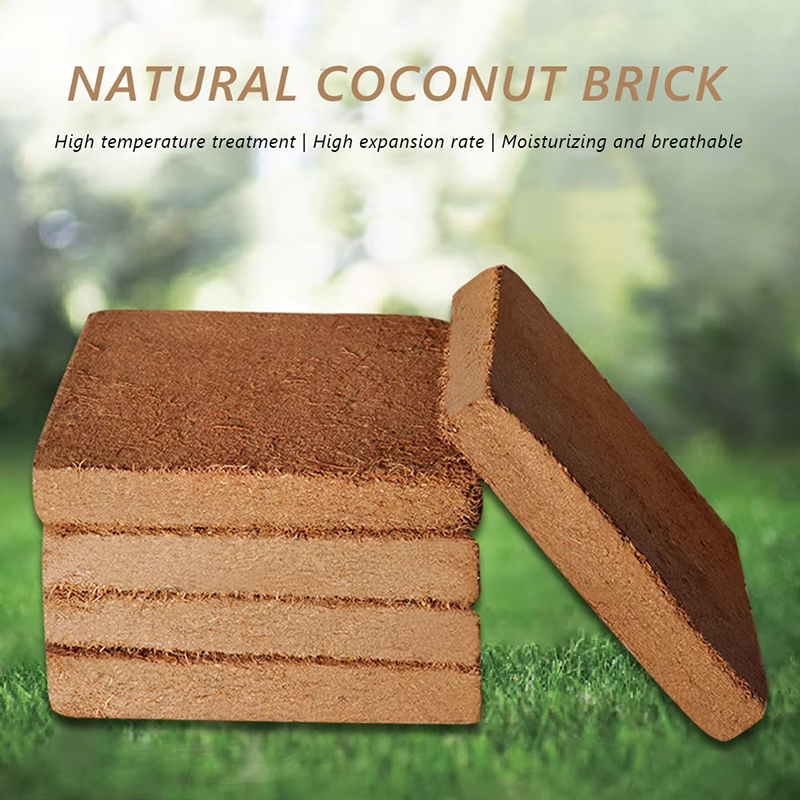 1/3/5 Buah Blok Bibit Serat Ke - Coco Coir Block ulasan dan harga