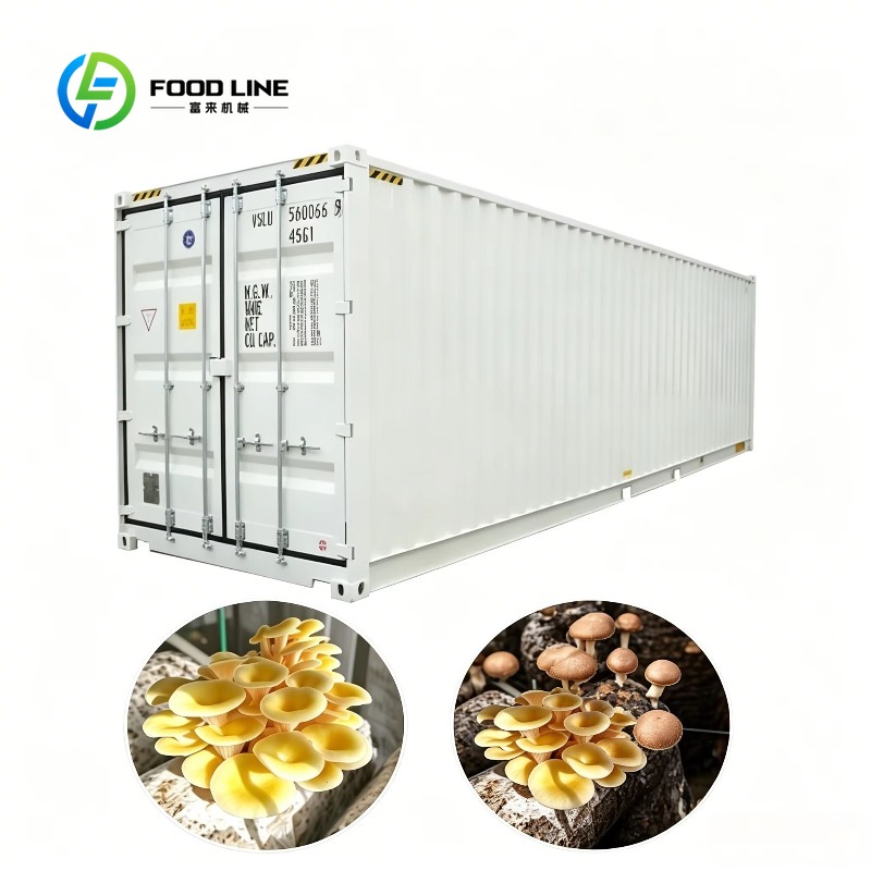 Pertanian Kontainer Hidroponik - Urban Farming Projects ulasan dan harga