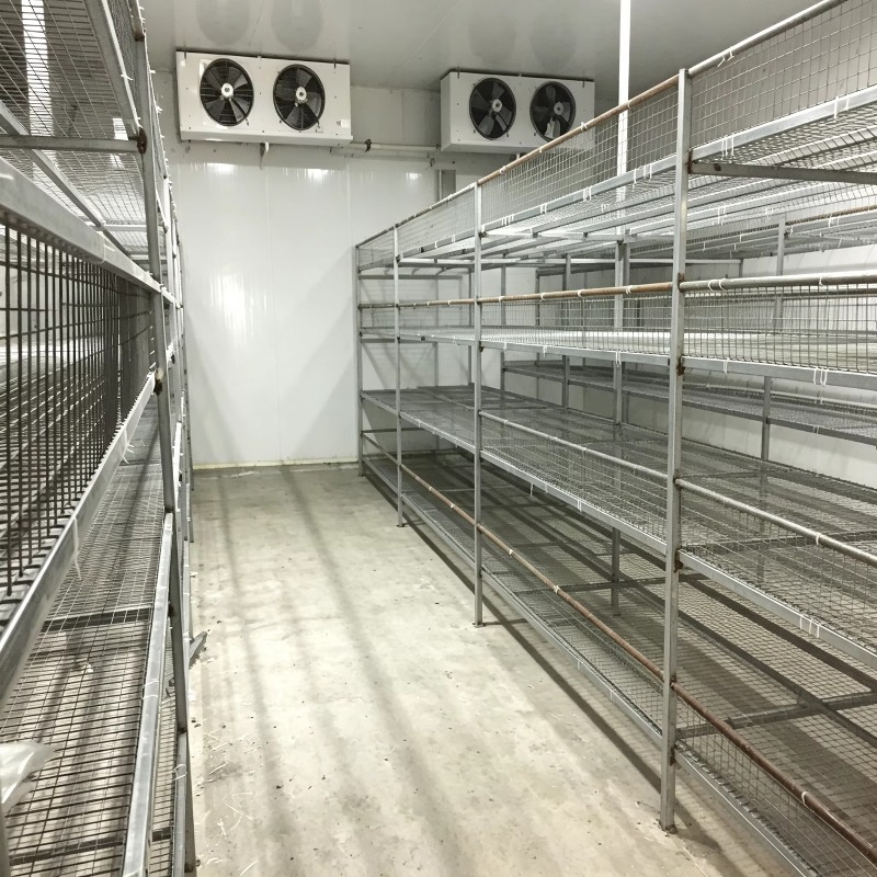 Pertanian Kontainer Hidroponik - Urban Farming Projects ulasan dan harga